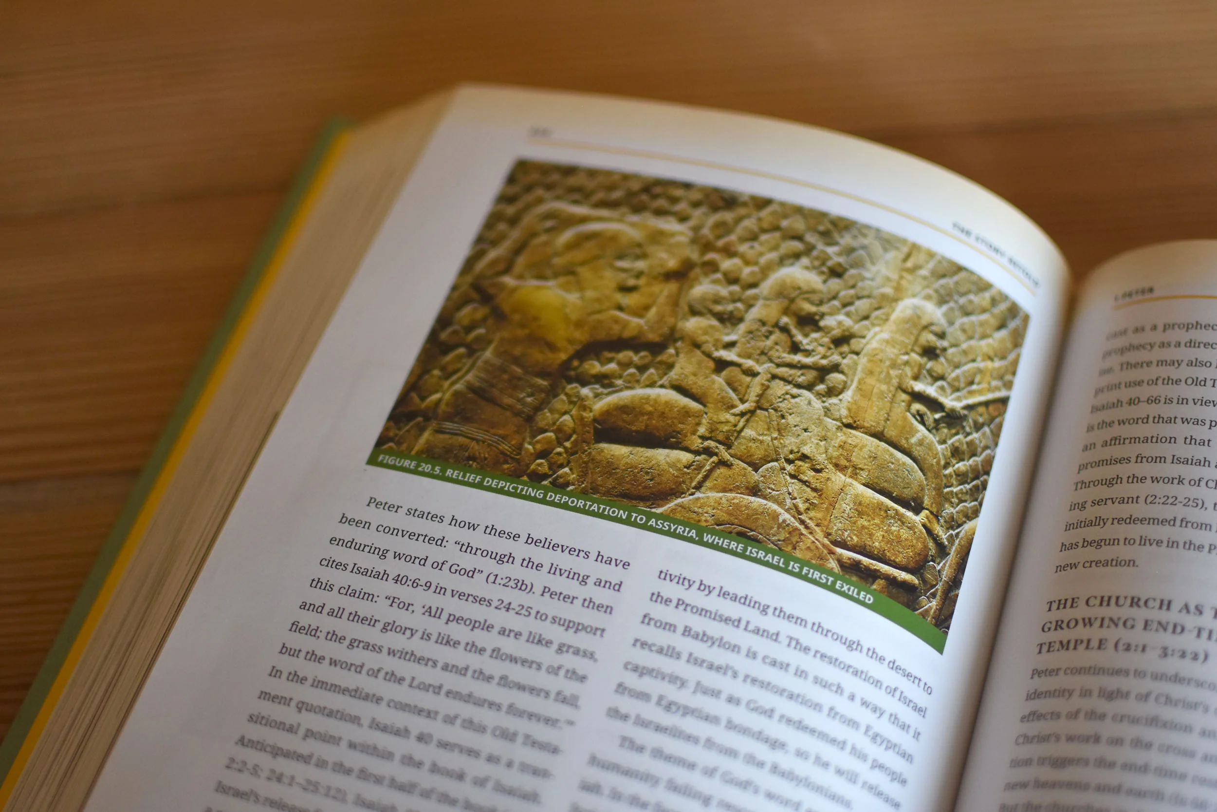 The Story Retold: A Biblical-Theological Introduction to the New Testament - Image 7