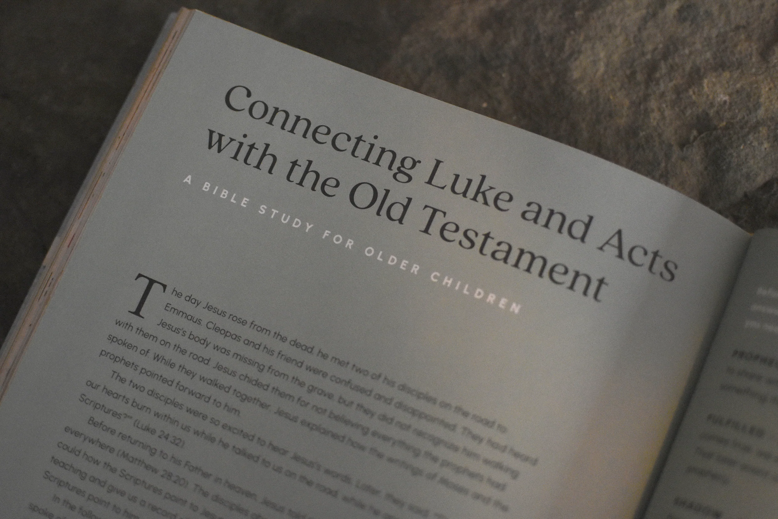 The Treasure: Ancient Story Ever New of Jesus and His Church - Image 4