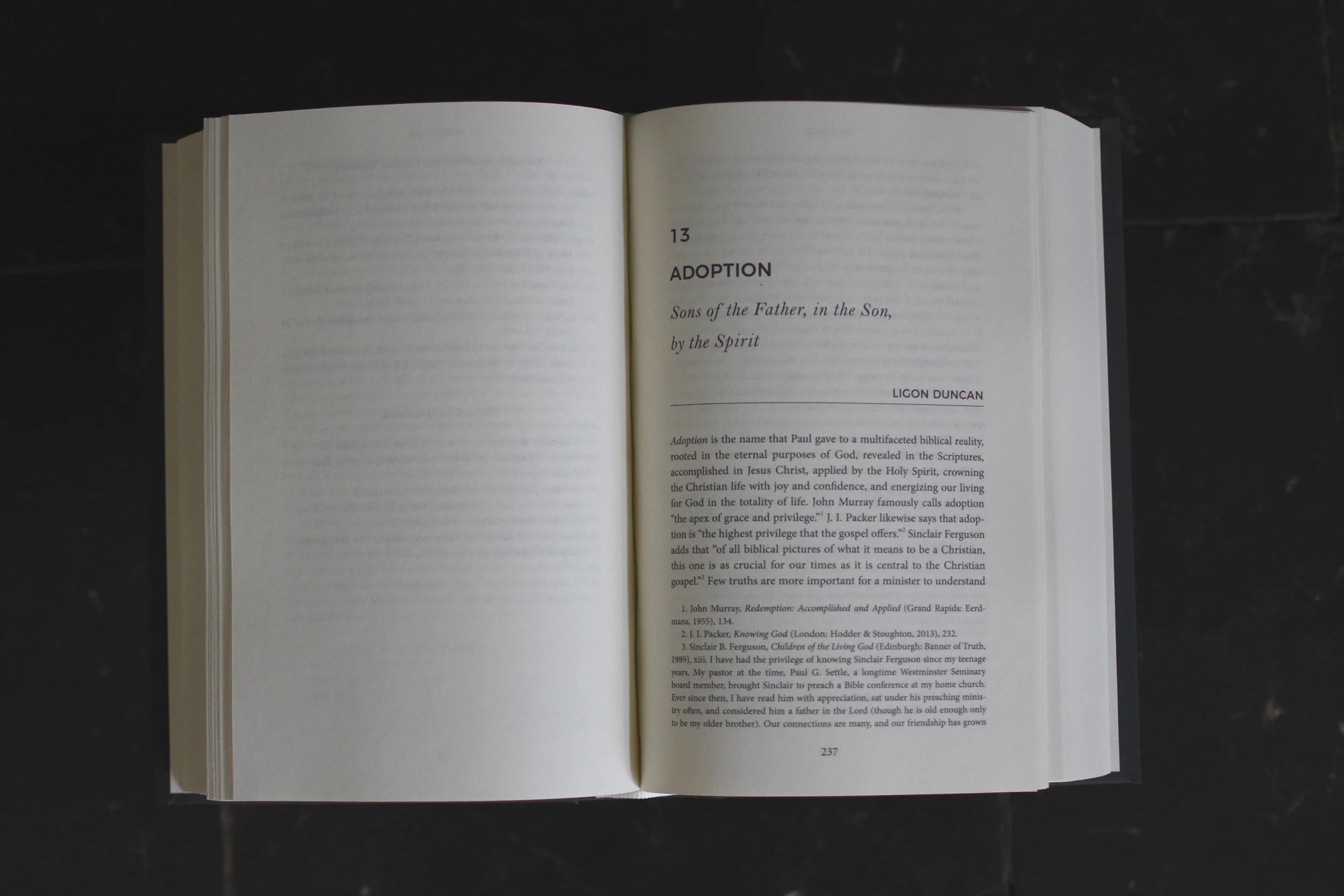 Theology for Ministry: How Doctrine Affects Pastoral Life and Practice - Image 6