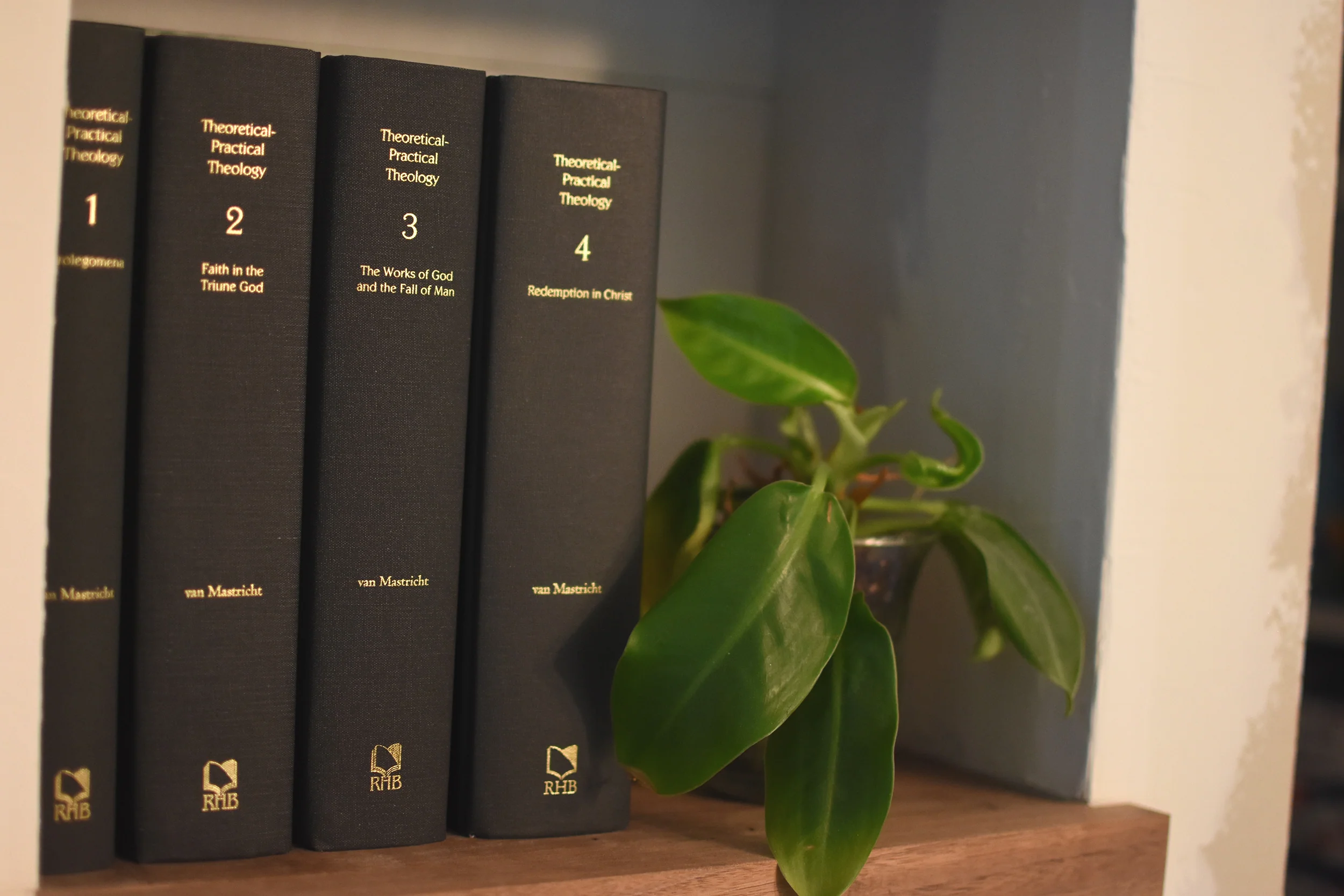 Theoretical-Practical Theology (5-Volume Set) - Image 4