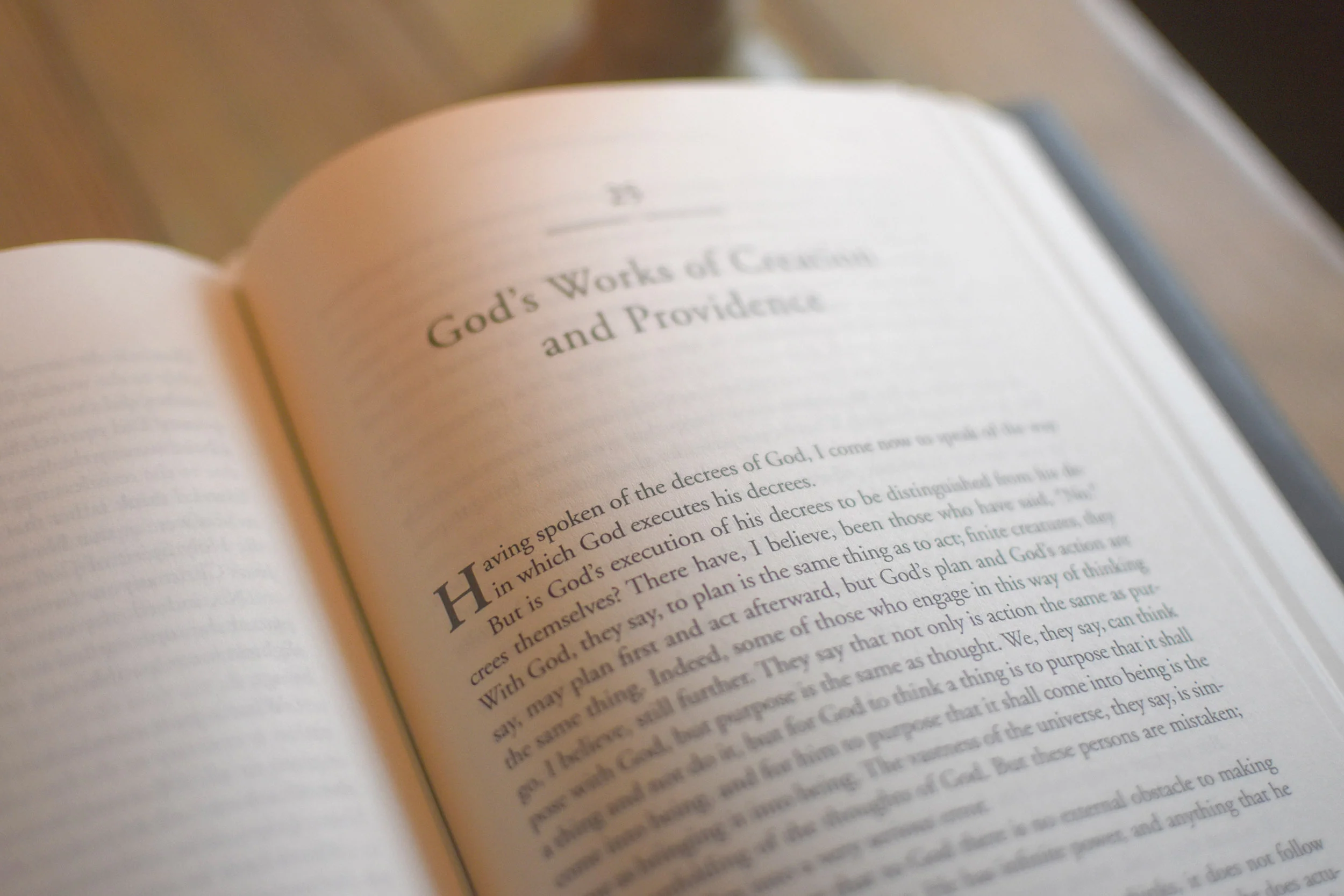 Things Unseen: A Systematic Introduction to the Christian Faith and Reformed Theology - Image 8