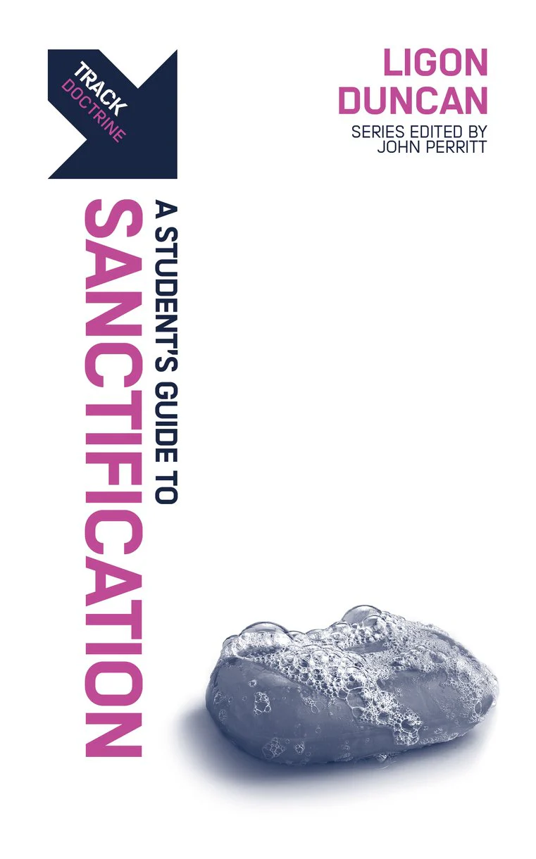 Track: Sanctification: A Student's Guide to Sanctification (Track)