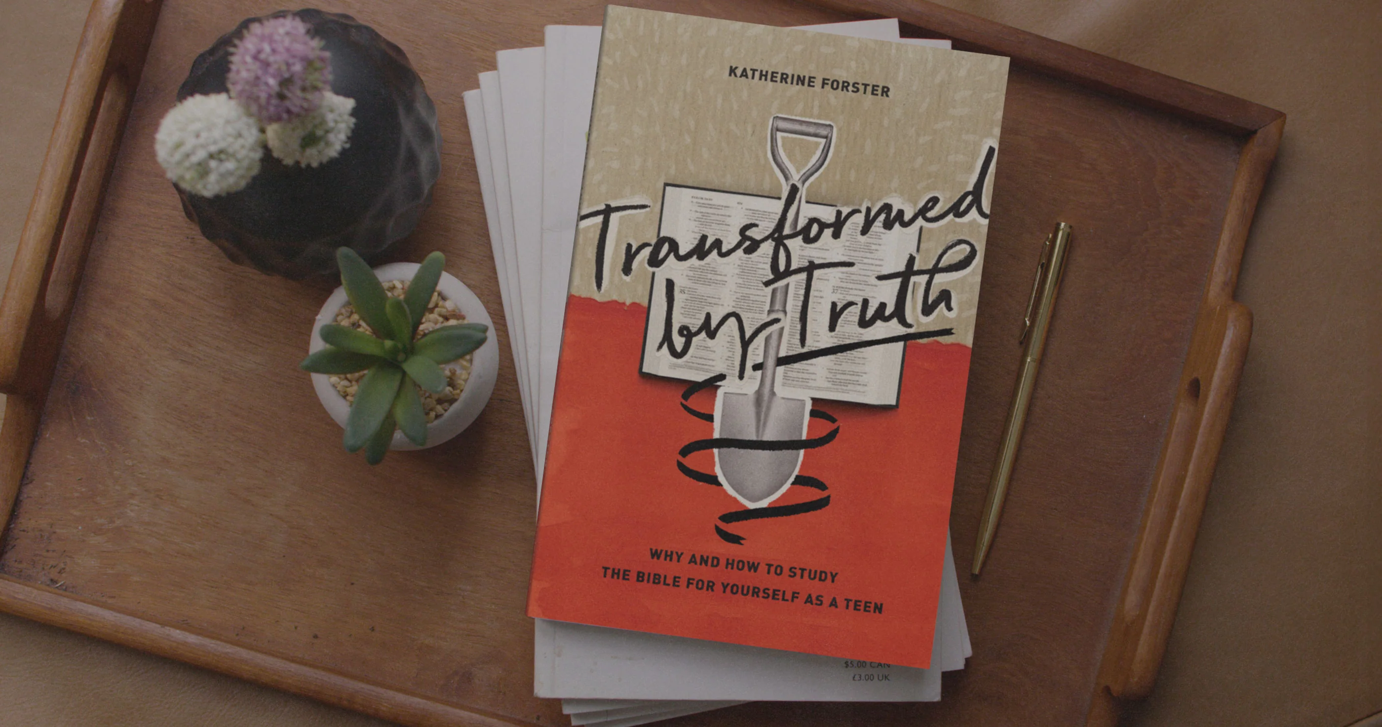 Transformed by Truth: Why and How to Study the Bible for Yourself as a Teen - Image 2