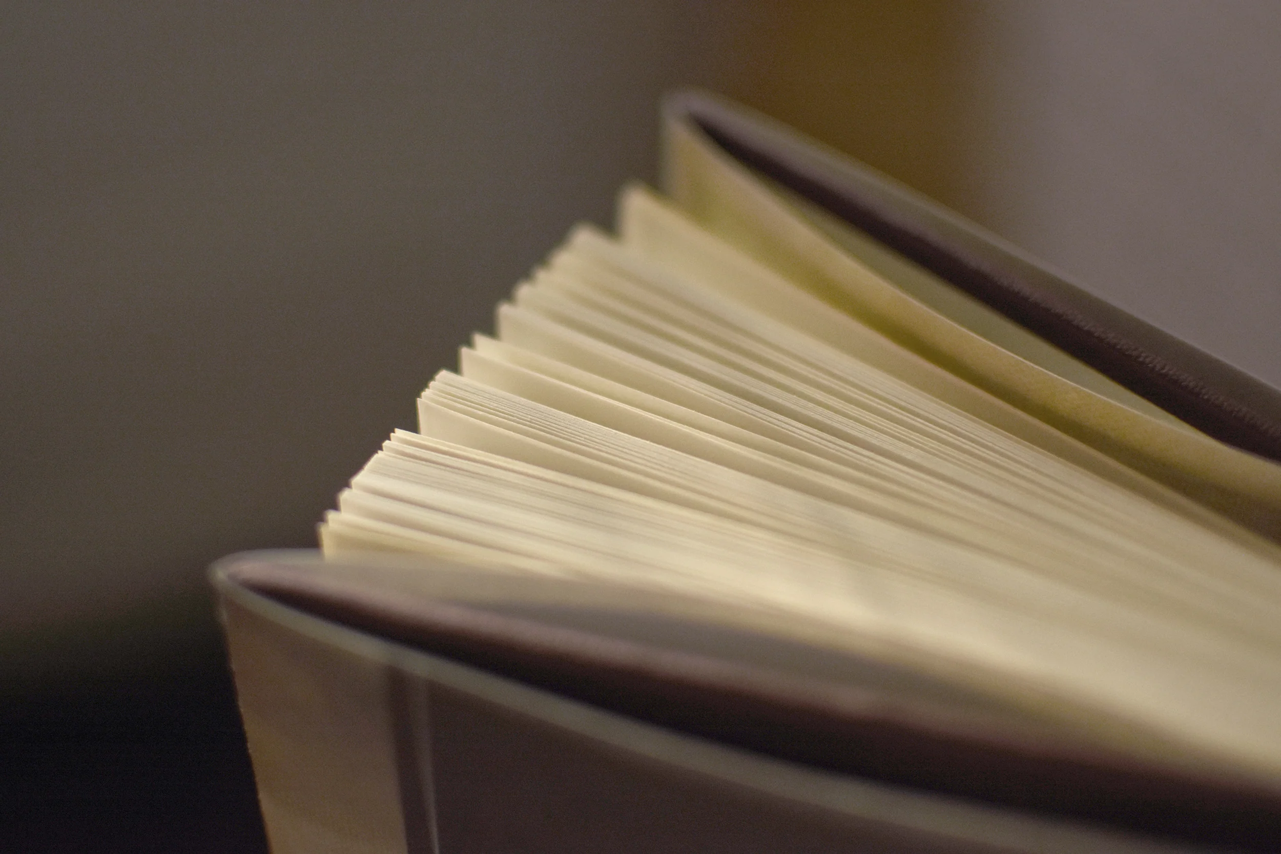 Union Theology Bundle - Image 5