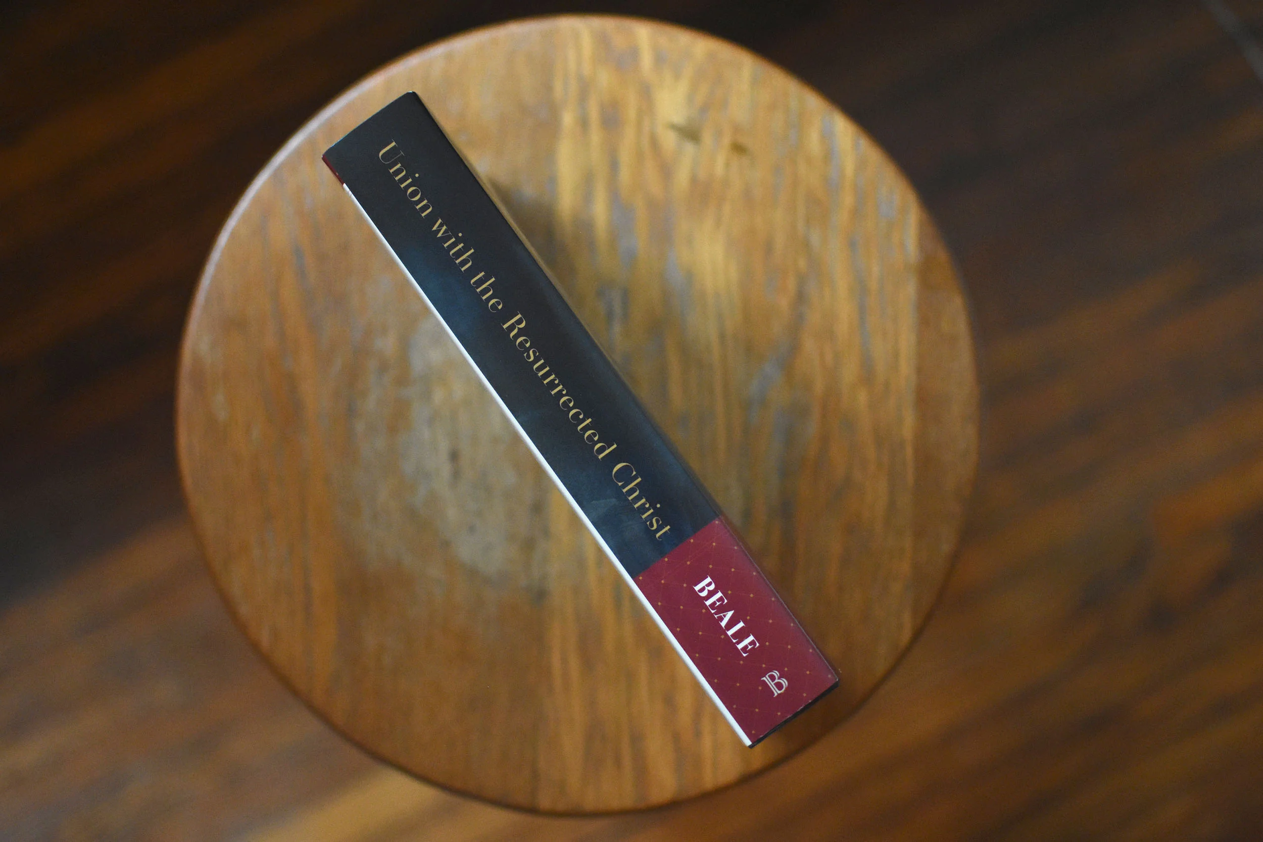 Union with the Resurrected Christ: Eschatological New Creation and New Testament Biblical Theology - Image 3