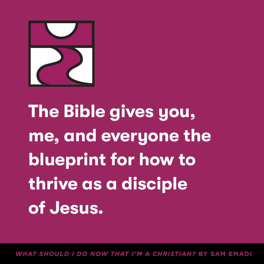 What Should I Do Now That I'm a Christian? (Church Questions) - Image 2