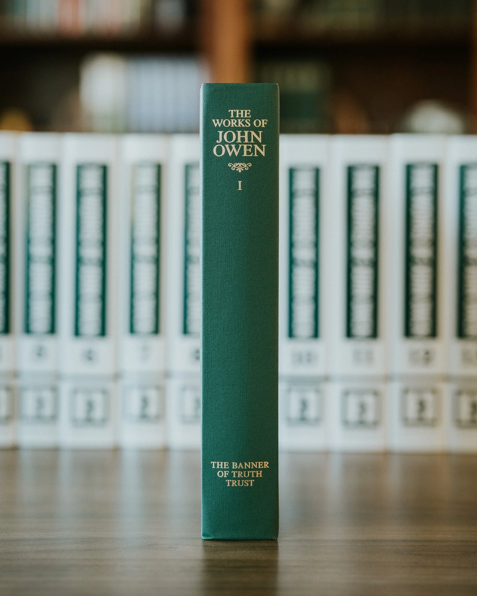 Works of John Owen (16 Volumes) - Image 5